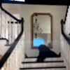 quinnshanahan
